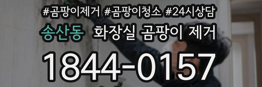 송산동 화장실 곰팡이 제거