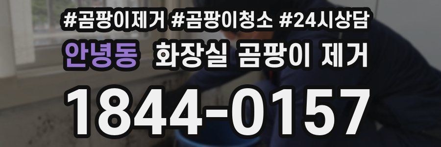 안녕동 화장실 곰팡이 제거