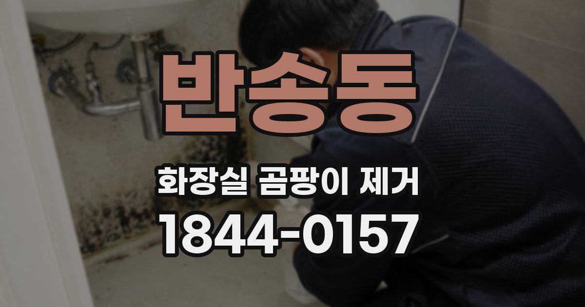 반송동 화장실 곰팡이 제거