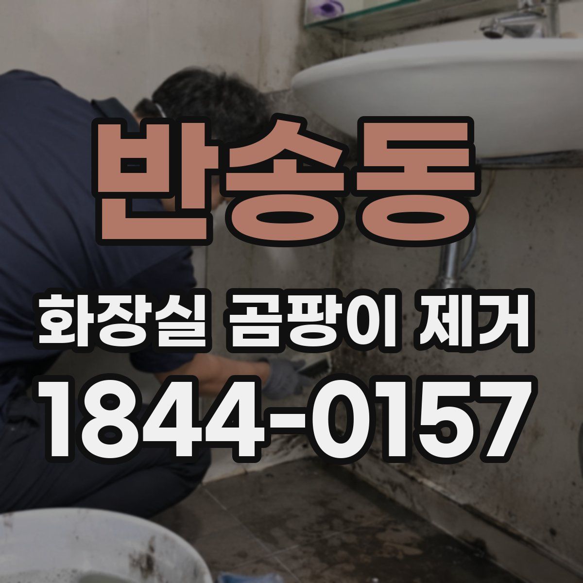 반송동 화장실 곰팡이 제거