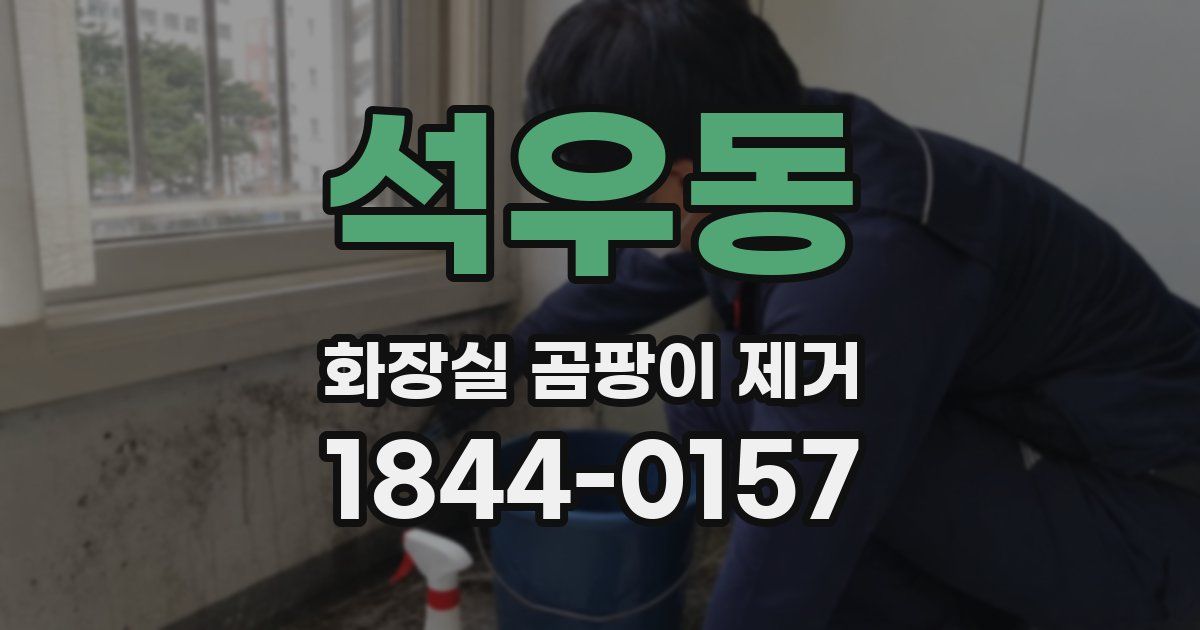 석우동 화장실 곰팡이 제거