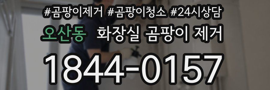 오산동 화장실 곰팡이 제거