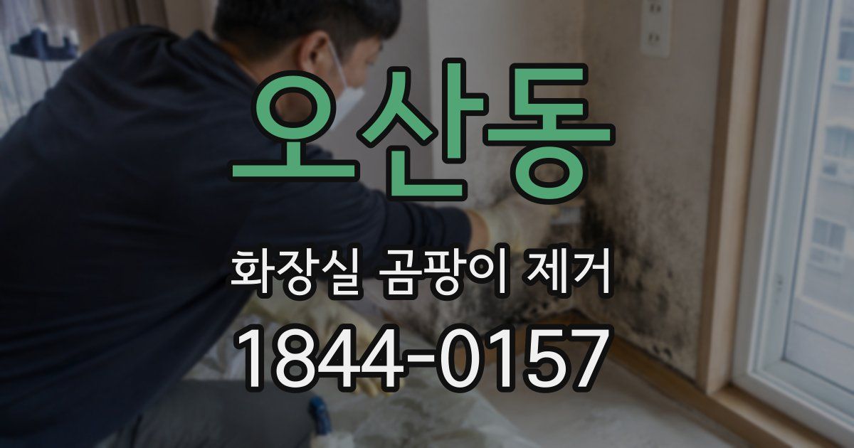 오산동 화장실 곰팡이 제거