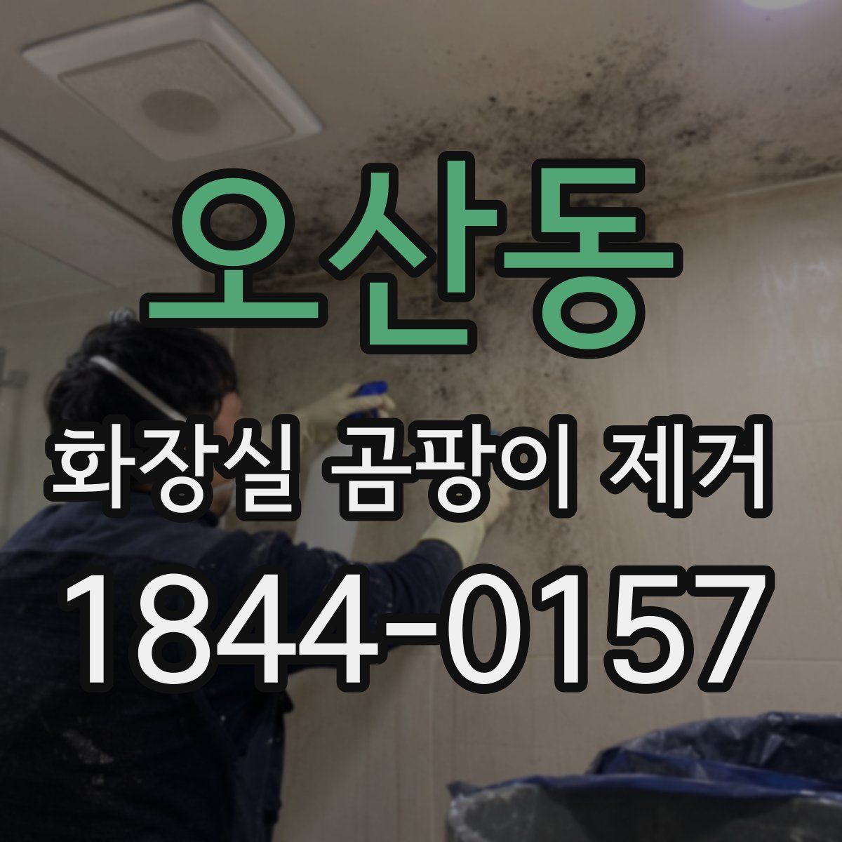 오산동 화장실 곰팡이 제거