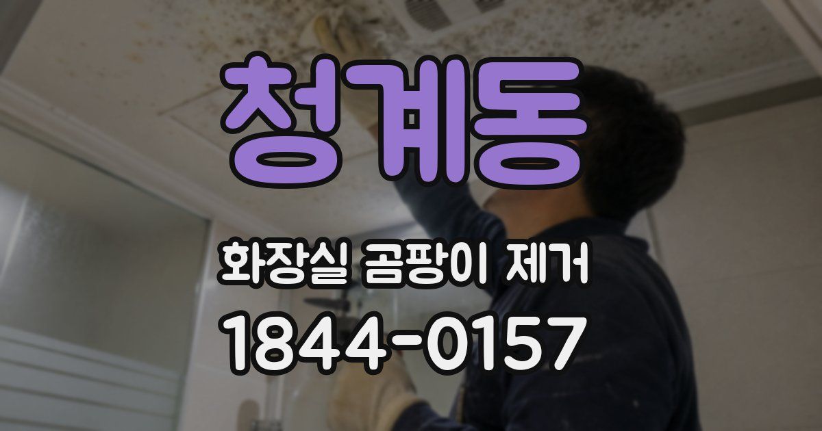 청계동 화장실 곰팡이 제거