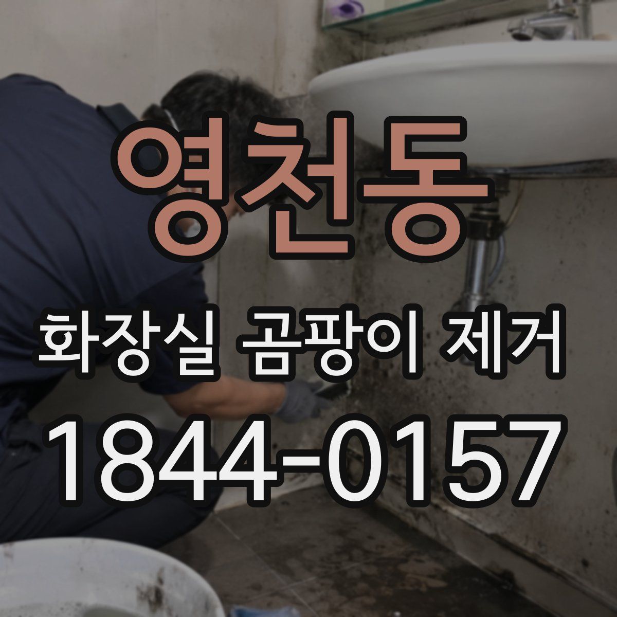 영천동 화장실 곰팡이 제거