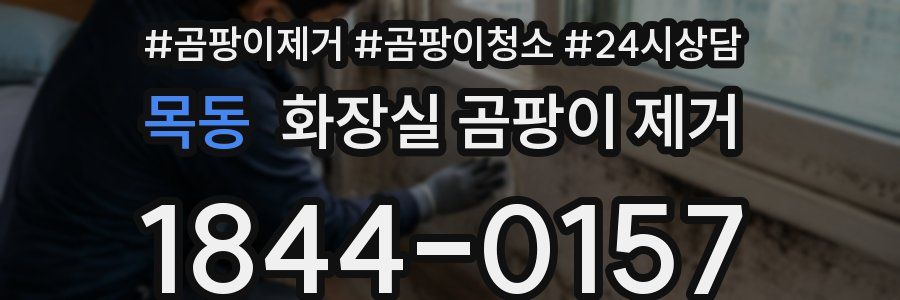 목동 화장실 곰팡이 제거