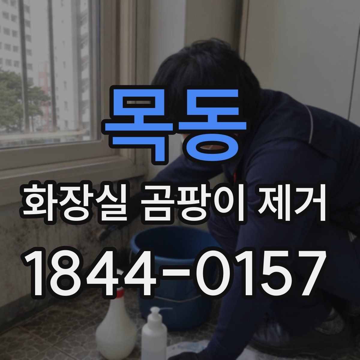 목동 화장실 곰팡이 제거