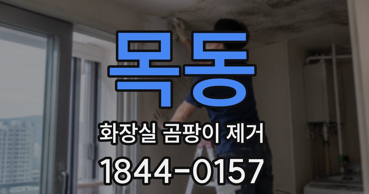목동 화장실 곰팡이 제거
