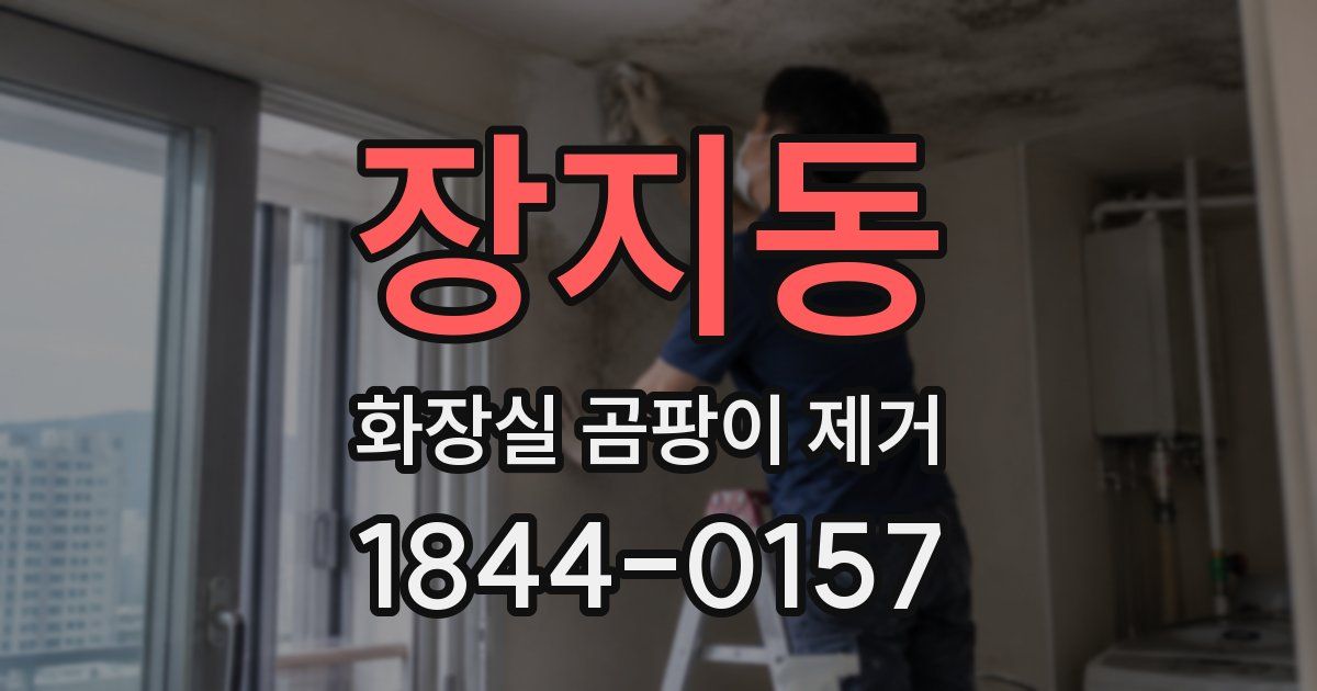 장지동 화장실 곰팡이 제거