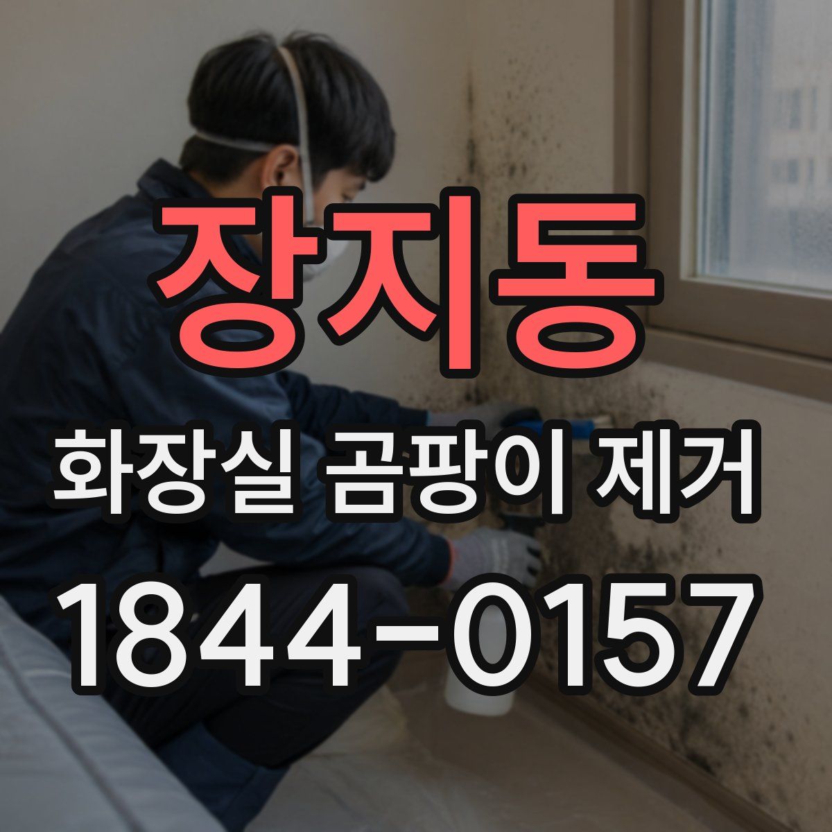 장지동 화장실 곰팡이 제거