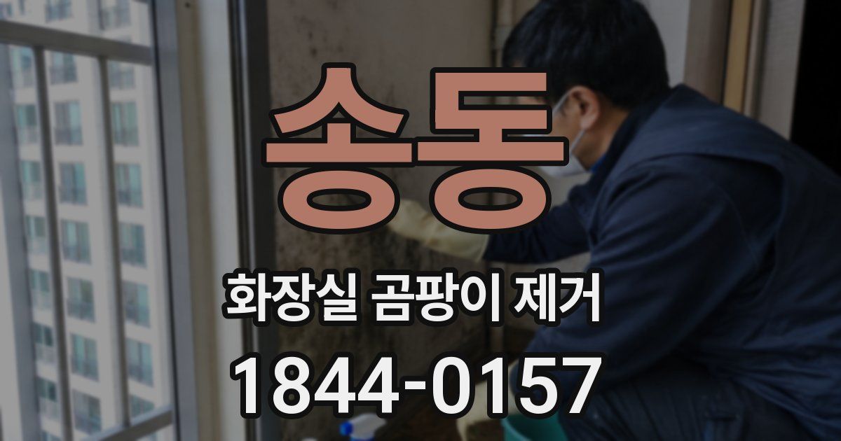 송동 화장실 곰팡이 제거