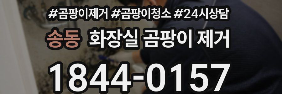 송동 화장실 곰팡이 제거