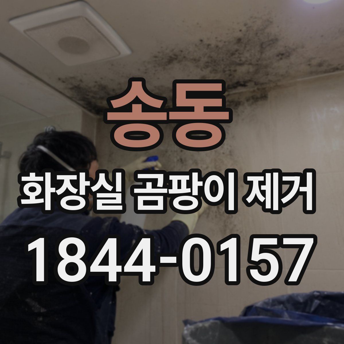 송동 화장실 곰팡이 제거