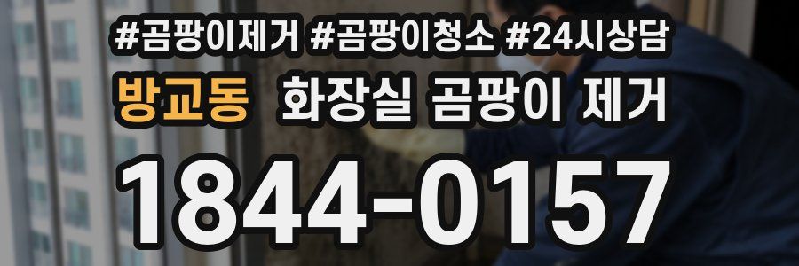 방교동 화장실 곰팡이 제거