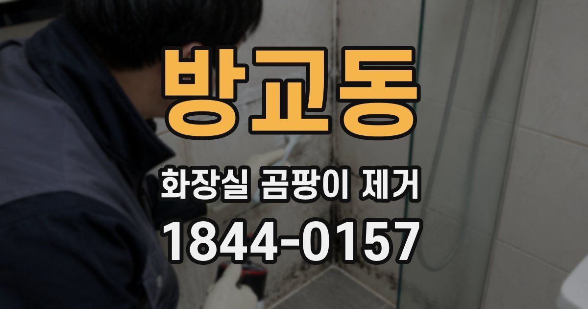 방교동 화장실 곰팡이 제거