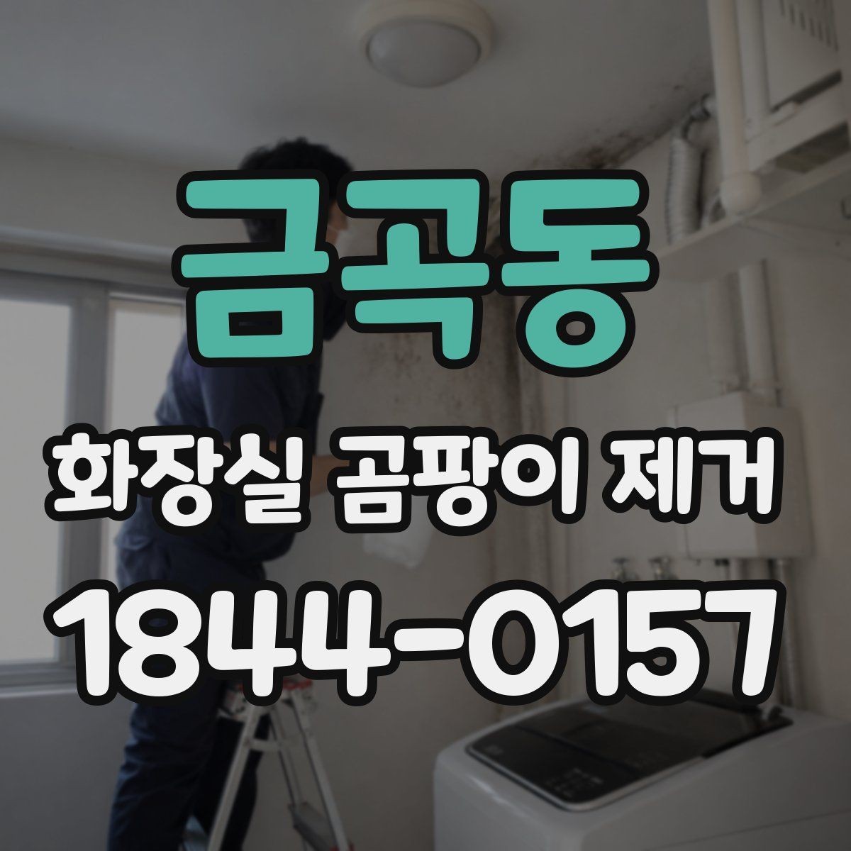 금곡동 화장실 곰팡이 제거 마스크와 장갑이 필요한 경우
