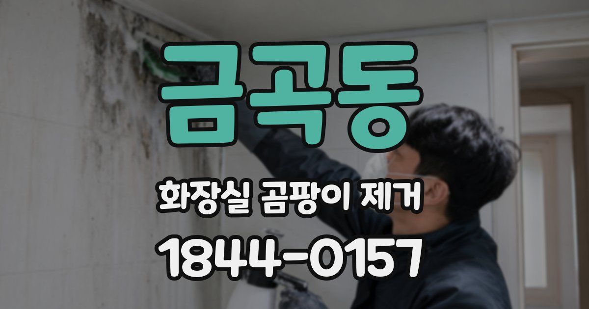 금곡동 화장실 곰팡이 제거