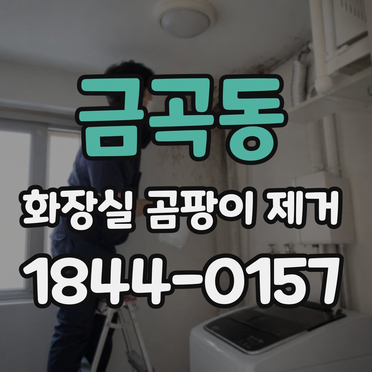 금곡동 화장실 곰팡이 제거