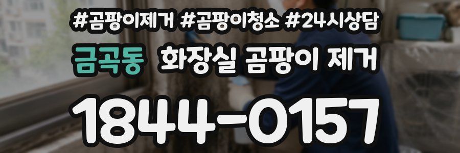 금곡동 화장실 곰팡이 제거