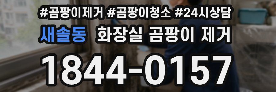 새솔동 화장실 곰팡이 제거