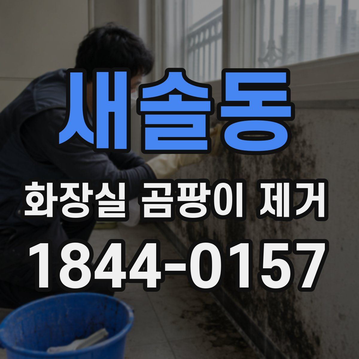 새솔동 화장실 곰팡이 제거