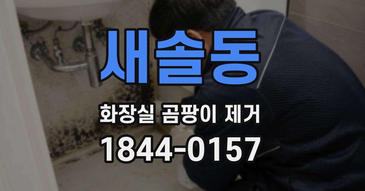 새솔동 화장실 곰팡이 제거