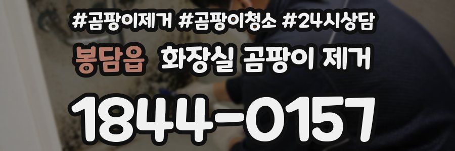 봉담읍 화장실 곰팡이 제거