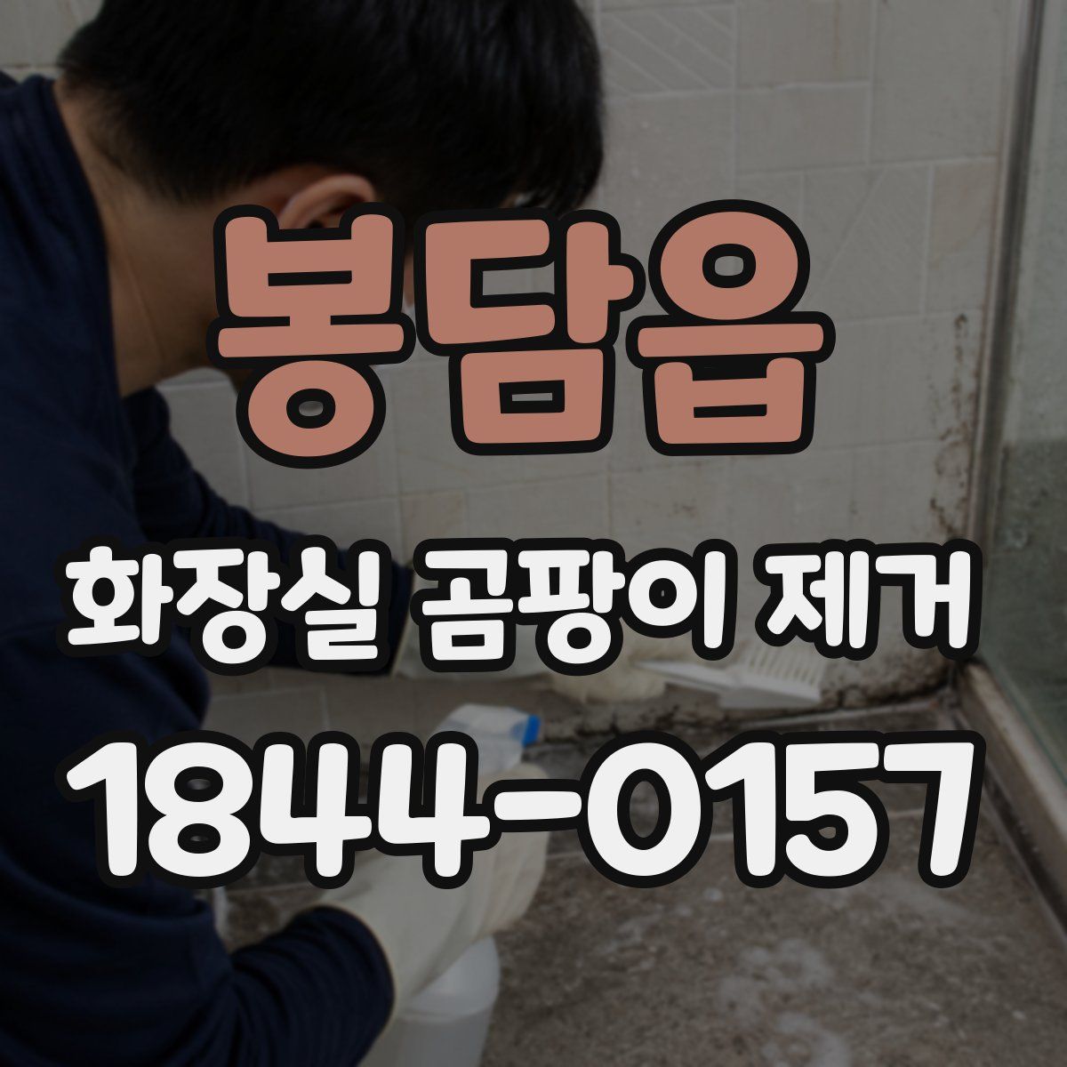 봉담읍 화장실 곰팡이 제거