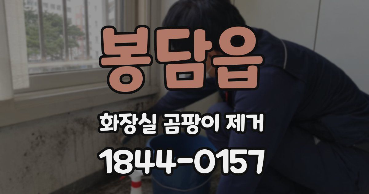 봉담읍 화장실 곰팡이 제거