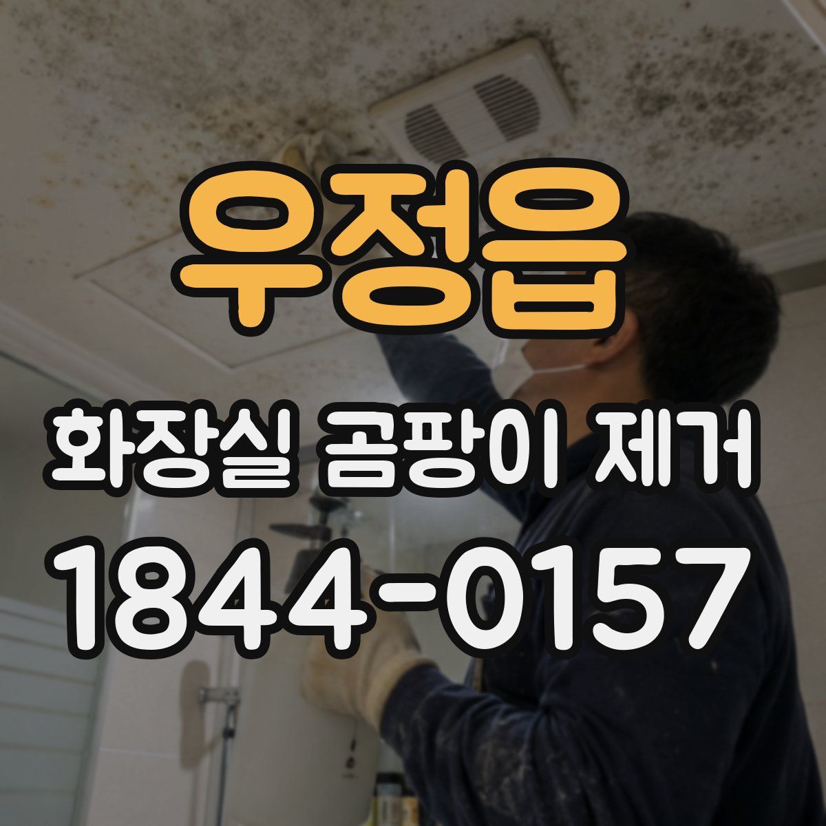 우정읍 화장실 곰팡이 제거