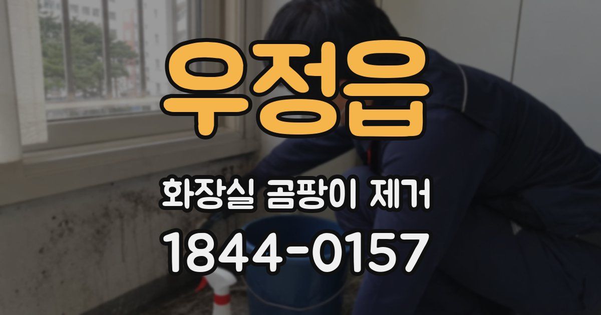 우정읍 화장실 곰팡이 제거