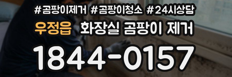 우정읍 화장실 곰팡이 제거