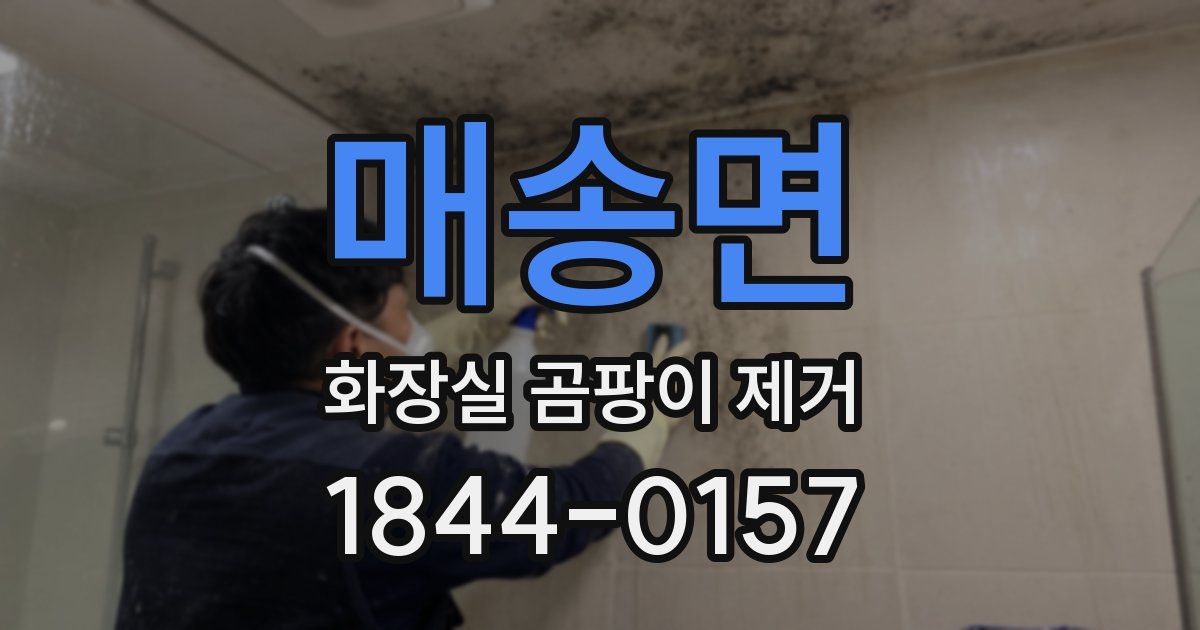 매송면 화장실 곰팡이 제거