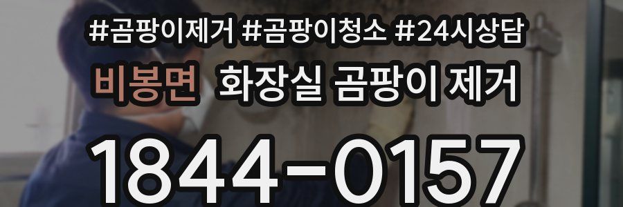 비봉면 화장실 곰팡이 제거