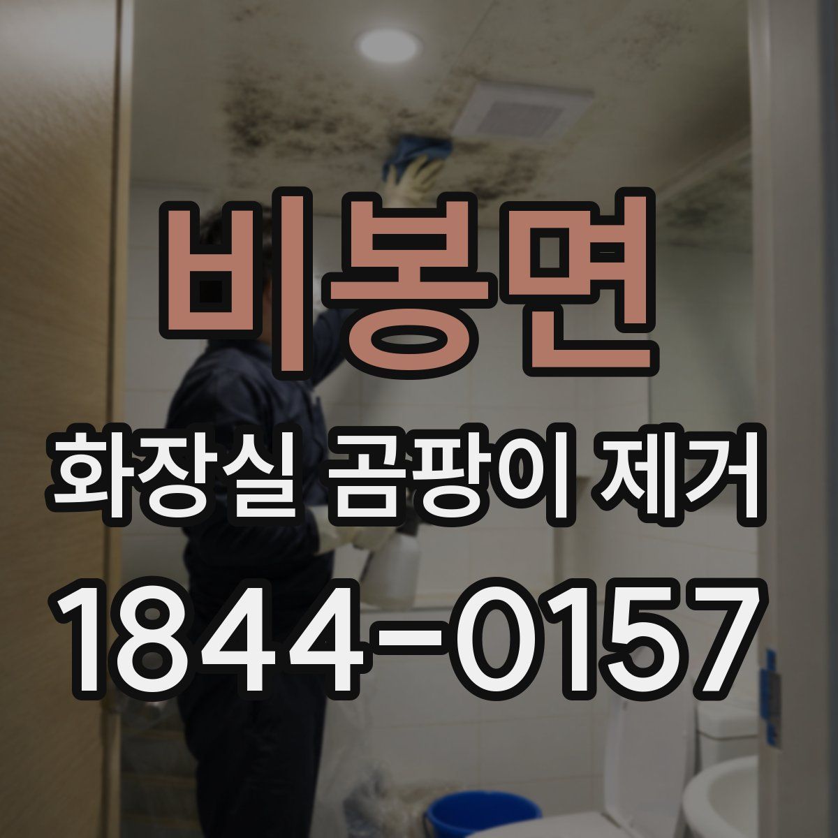 비봉면 화장실 곰팡이 제거