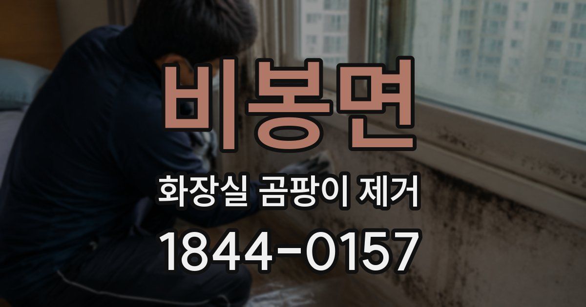 비봉면 화장실 곰팡이 제거