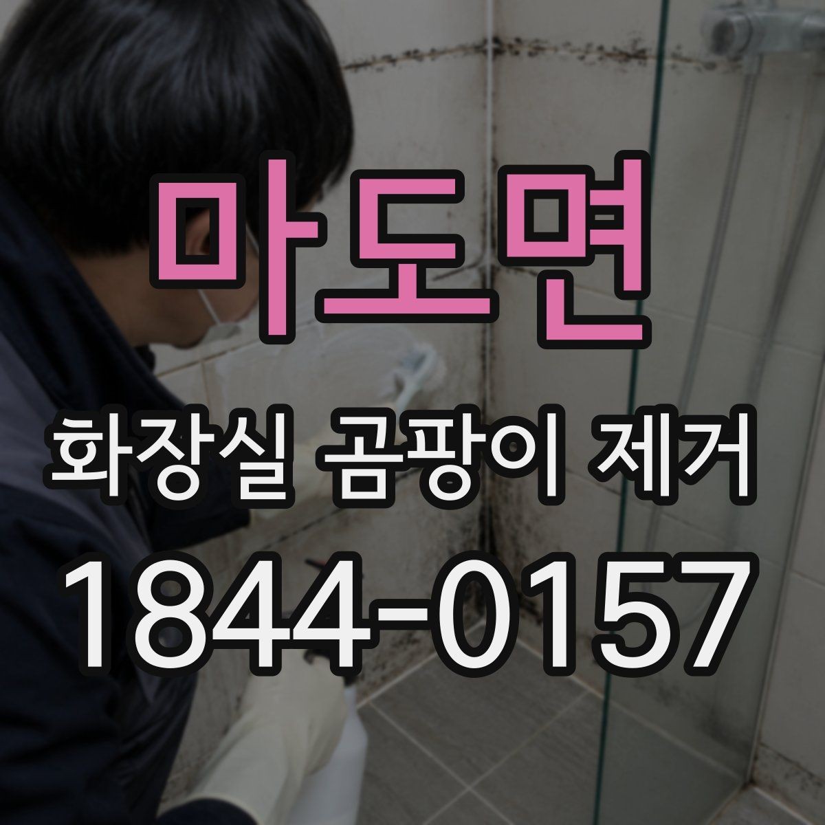 마도면 화장실 곰팡이 제거 아이와 반려동물이 있는 집의 안전 점검