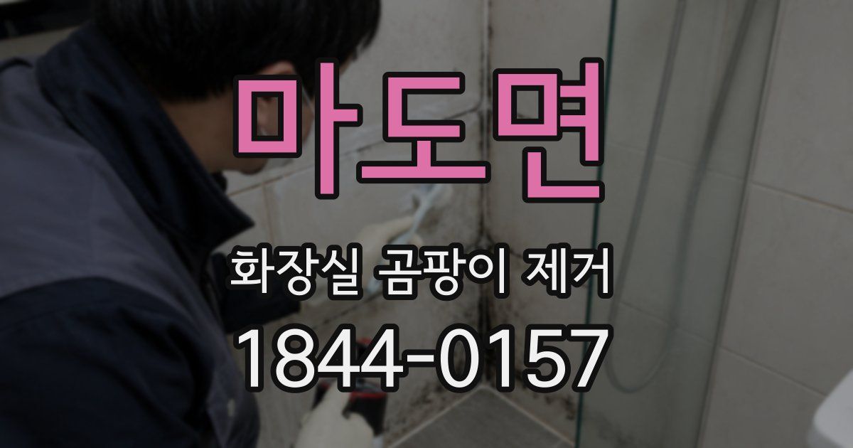마도면 화장실 곰팡이 제거
