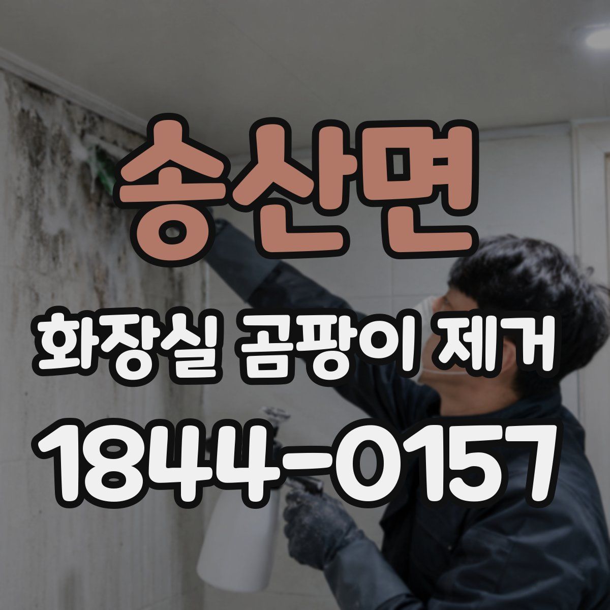 송산면 화장실 곰팡이 제거