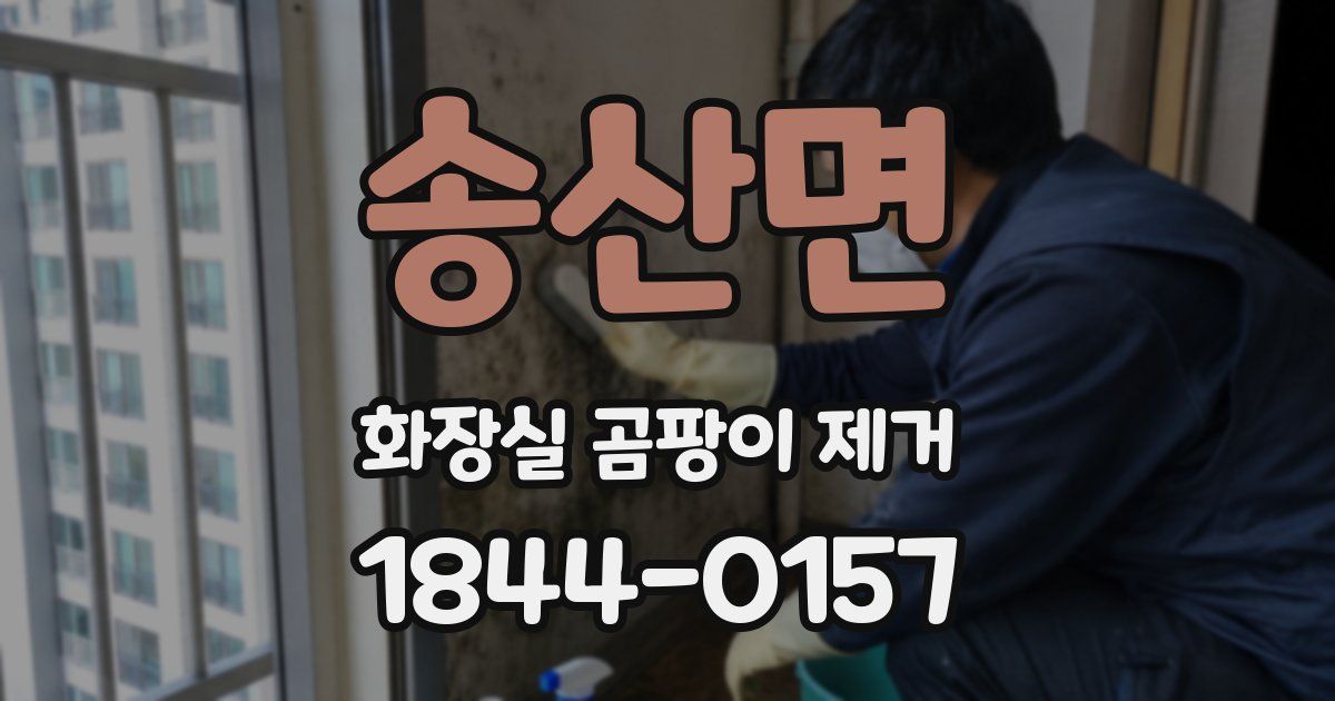 송산면 화장실 곰팡이 제거