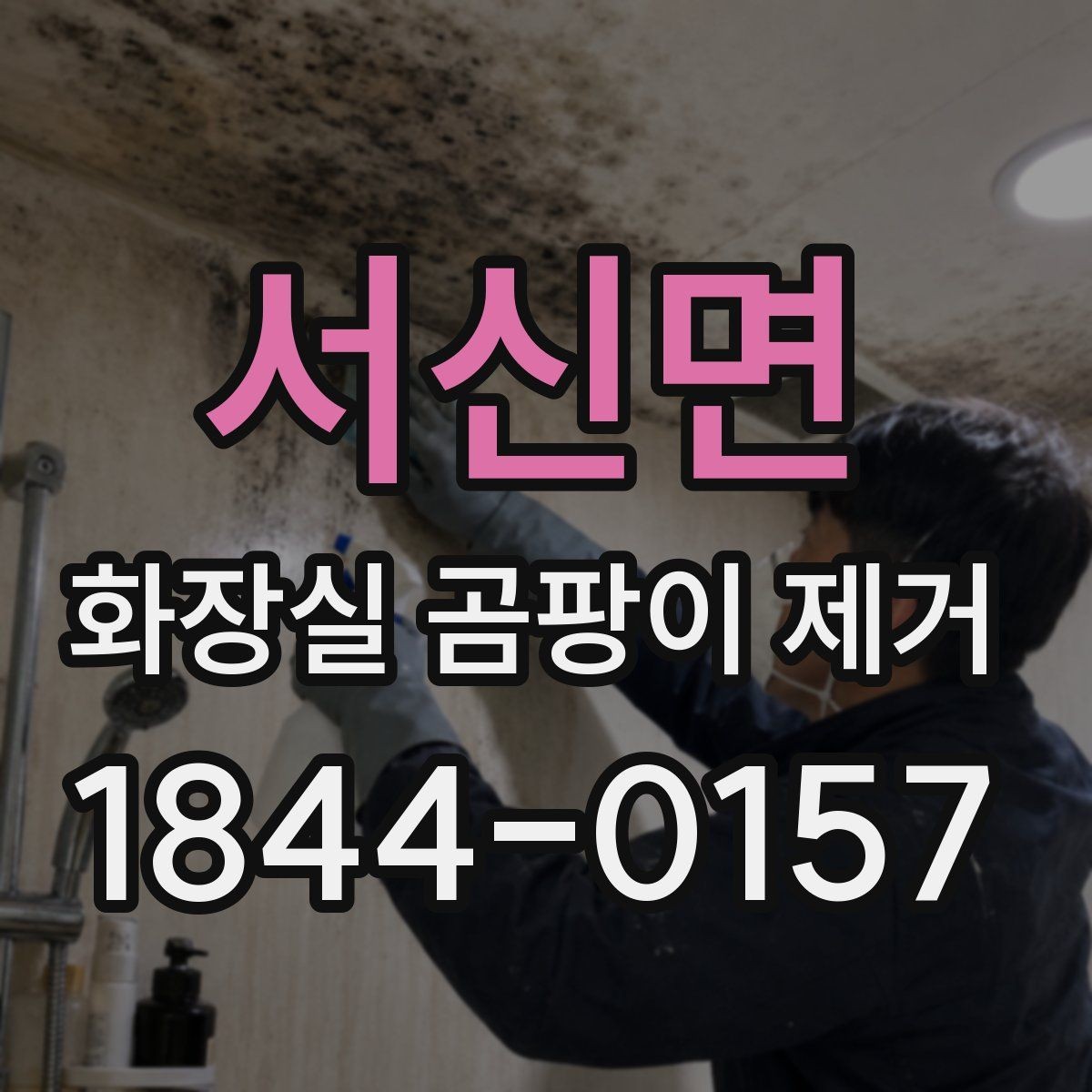 서신면 화장실 곰팡이 제거 베란다 없는 집의 습기 관리 루틴