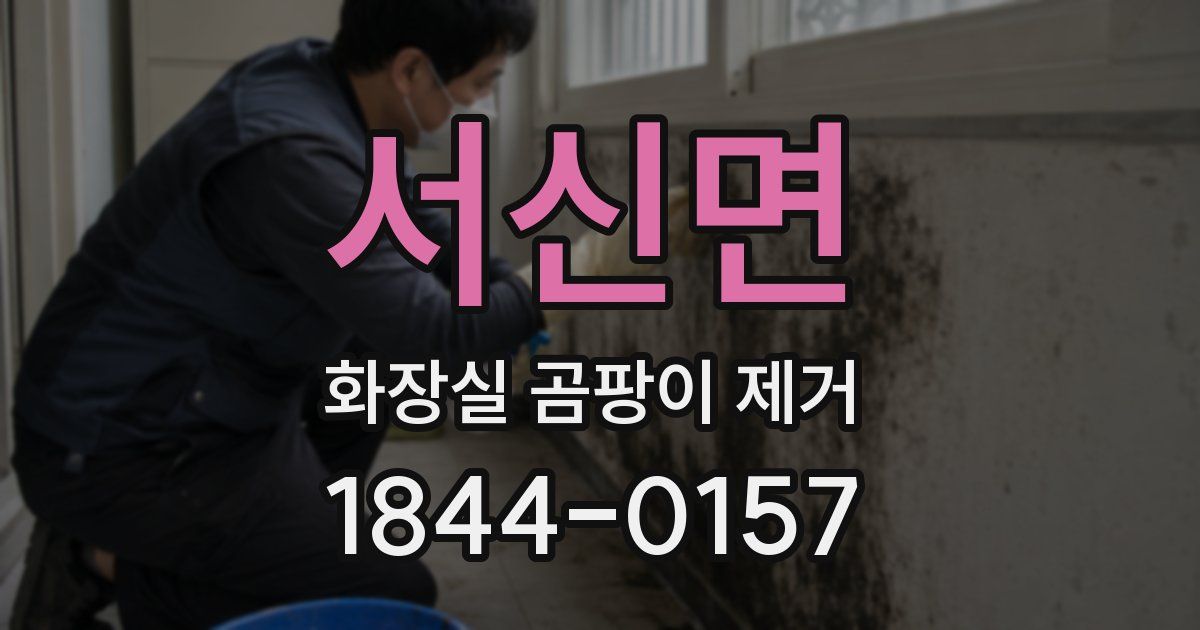 서신면 화장실 곰팡이 제거