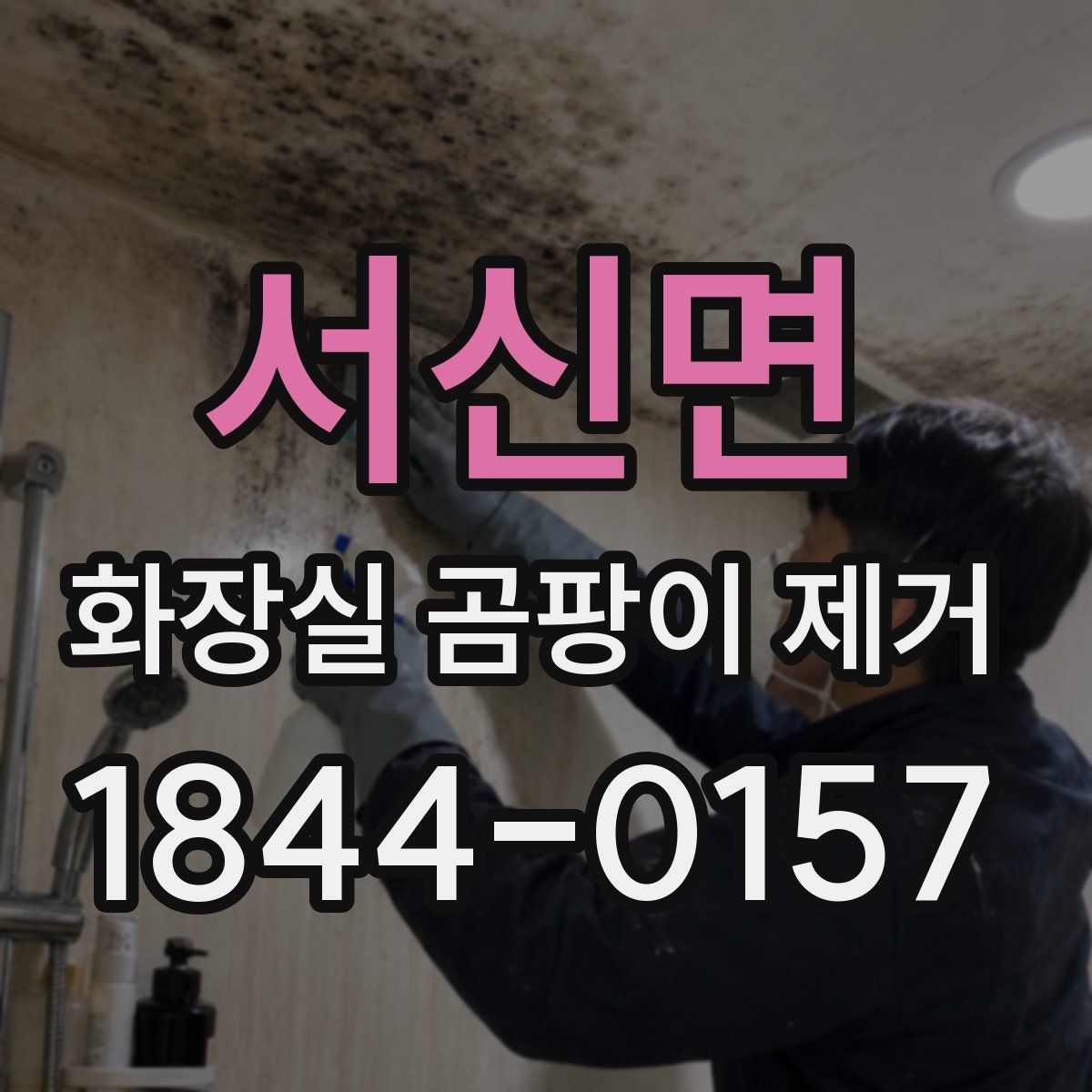 서신면 화장실 곰팡이 제거