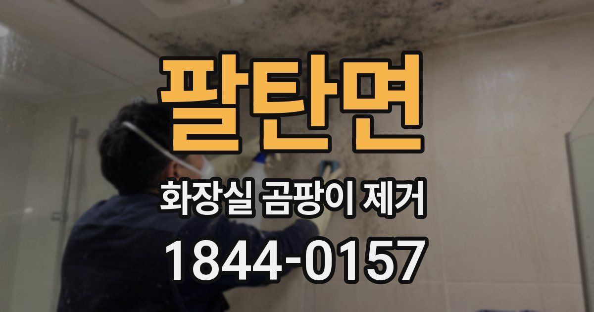 팔탄면 화장실 곰팡이 제거