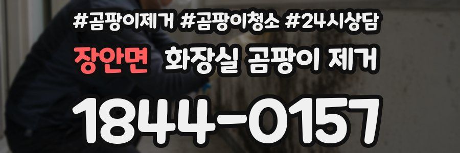 장안면 화장실 곰팡이 제거