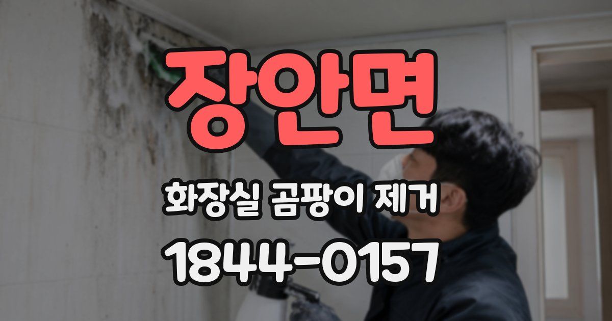장안면 화장실 곰팡이 제거