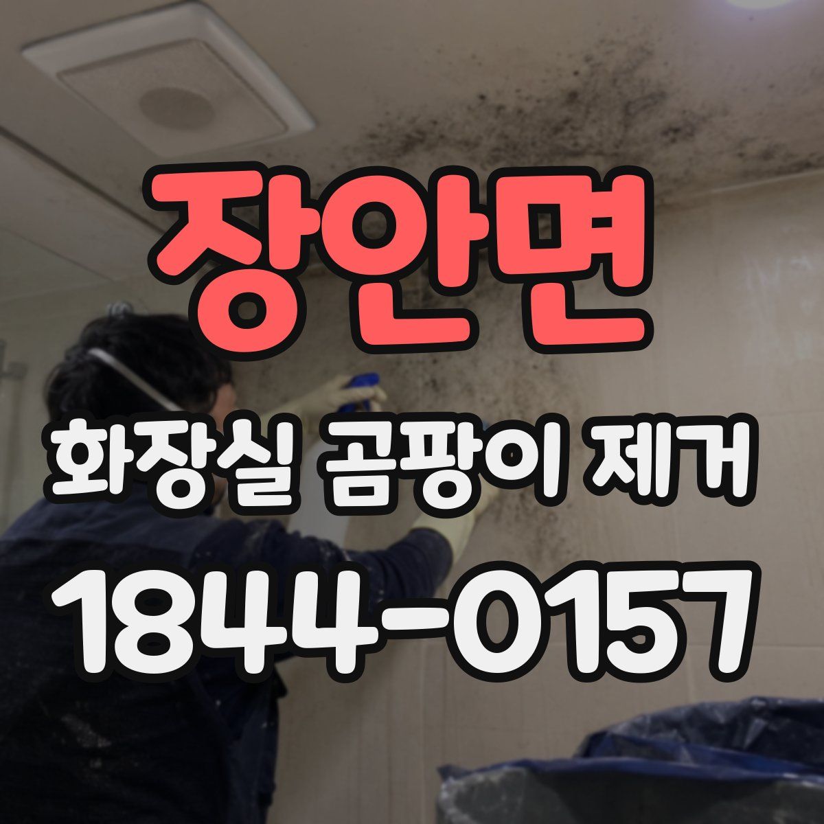 장안면 화장실 곰팡이 제거