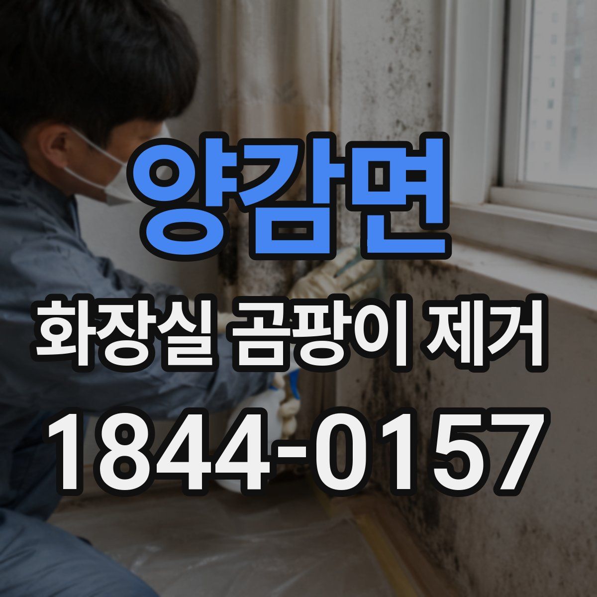 양감면 화장실 곰팡이 제거