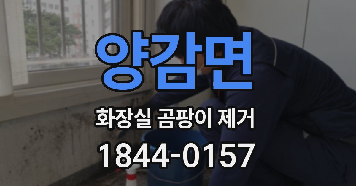 양감면 화장실 곰팡이 제거